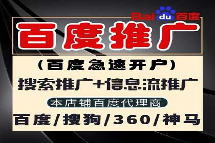 百度广告投放策略优化的经典案例